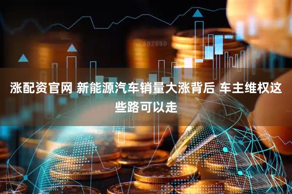 涨配资官网 新能源汽车销量大涨背后 车主维权这些路可以走